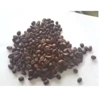Robusta Coffee